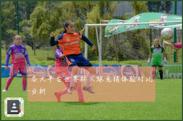 各大平台世界杯买球竞猜体验对比分析