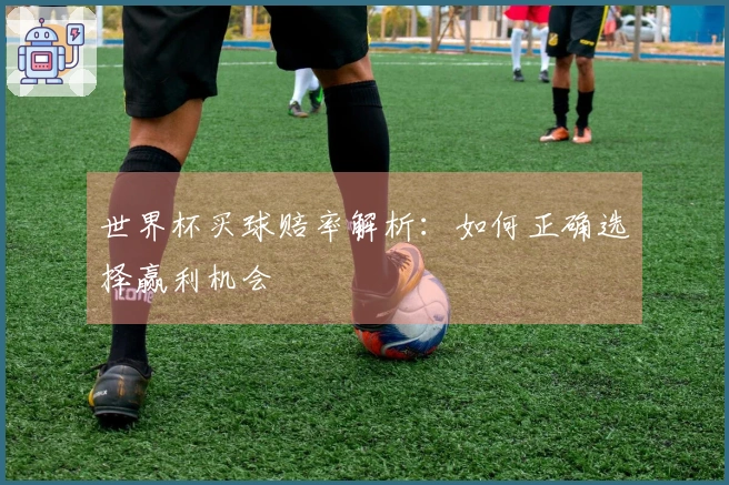 世界杯买球赔率解析：如何正确选择赢利机会