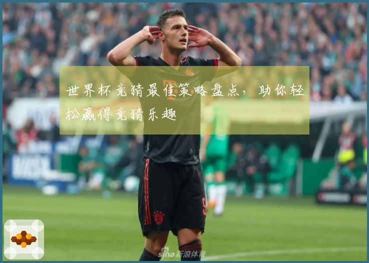 世界杯竞猜最佳策略盘点，助你轻松赢得竞猜乐趣