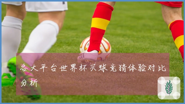 各大平台世界杯买球竞猜体验对比分析