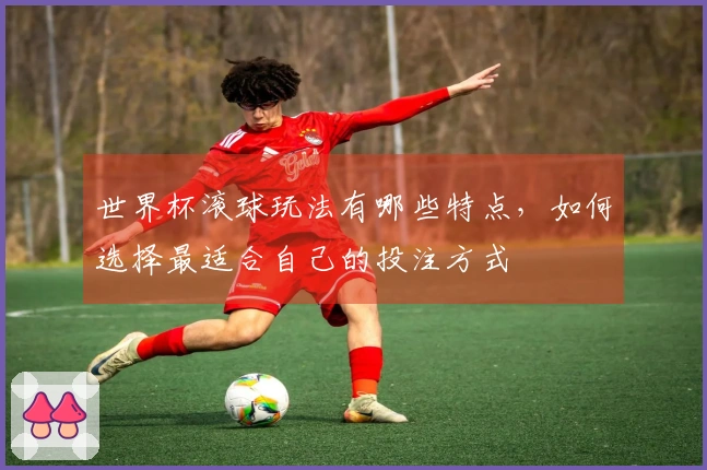 世界杯滚球玩法有哪些特点，如何选择最适合自己的投注方式